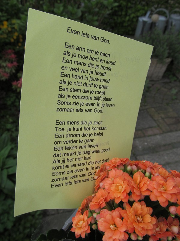 foto: Irene de Boer
